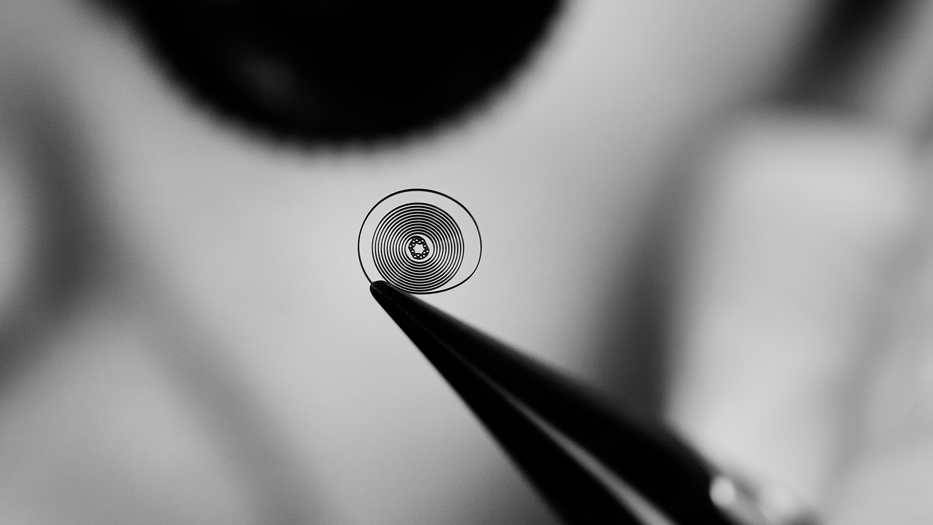 ハンコ carbon_hairspring_lab_013_16-9.jpg
